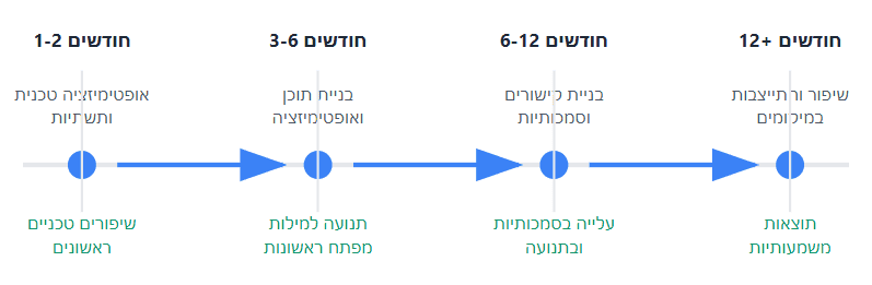 כמה זמן לוקח לקדם אתר בגוגל - תרשים תהליך עבודה סטנדרטי