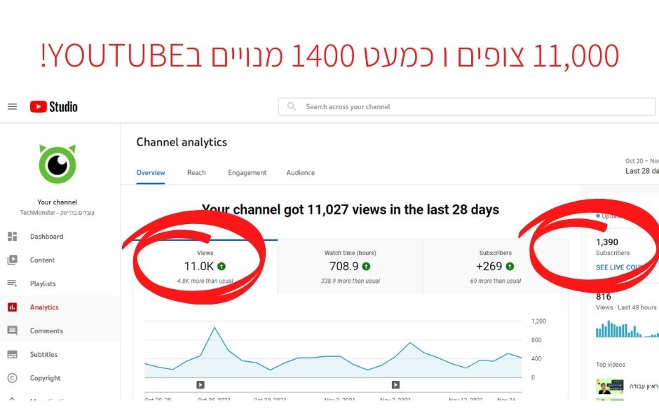 צפיות חודשיות בערוץ היוטיוב