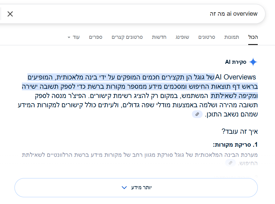 איך נראה AI OVERVIEW שמופיע בחלק העליון של תוצאות החיפוש